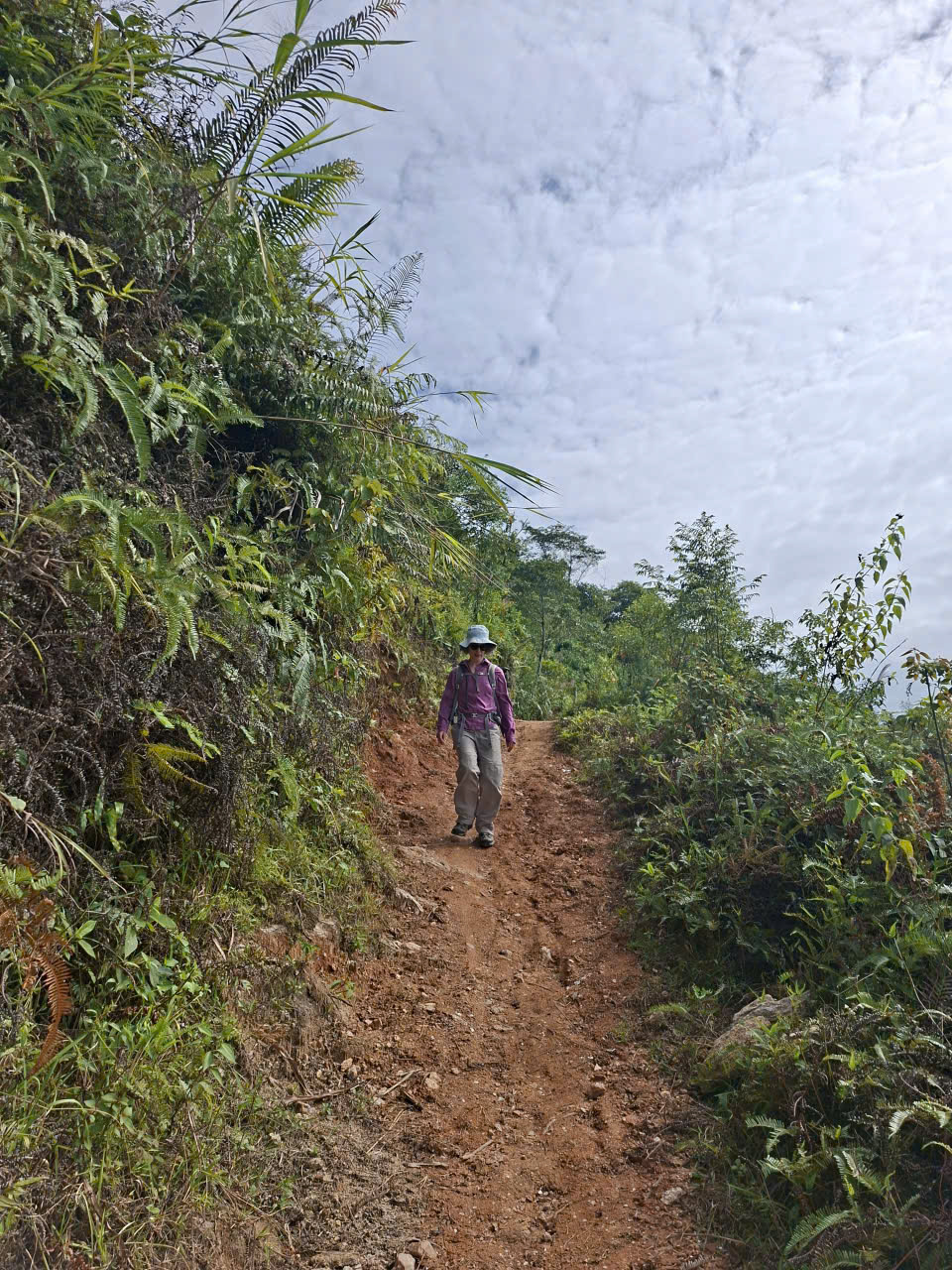 Sapa 1-Day Trek: Deep Immersion Hike through Y Linh Ho Mong, Lao Chai San & Ta Van